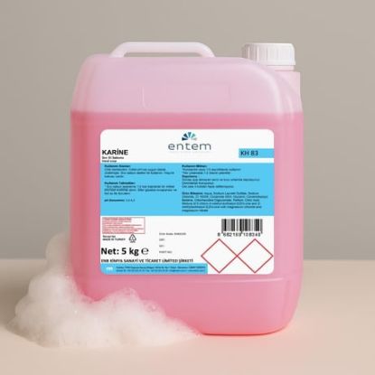 Entem Karine 5 Lt Konsantre Antiseptik Sıvı Sabun resmi