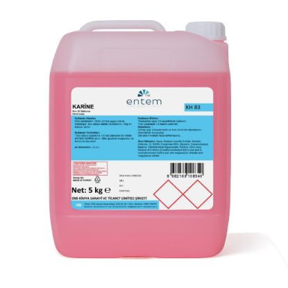 Entem Karine 5 Lt Konsantre Antiseptik Sıvı Sabun resmi