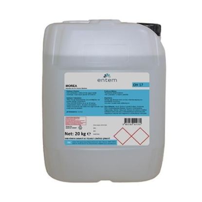 Entem Morea Antiseptik Özellikli Köpük Sabun 20 lt resmi