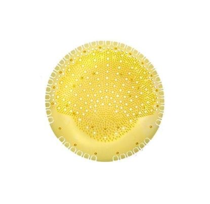 Fresh Smell Çok Amaçlı Koku Giderici Pisuvar Pedi Summer Touch resmi